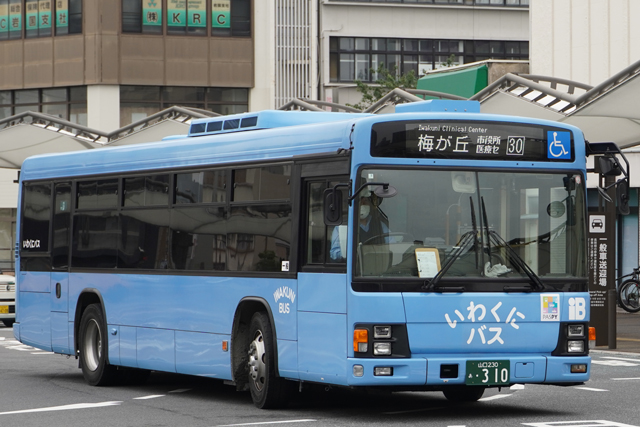 R230 310