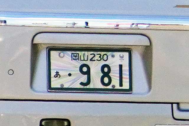 R230 981