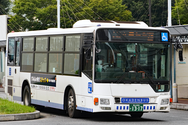 R200 1317