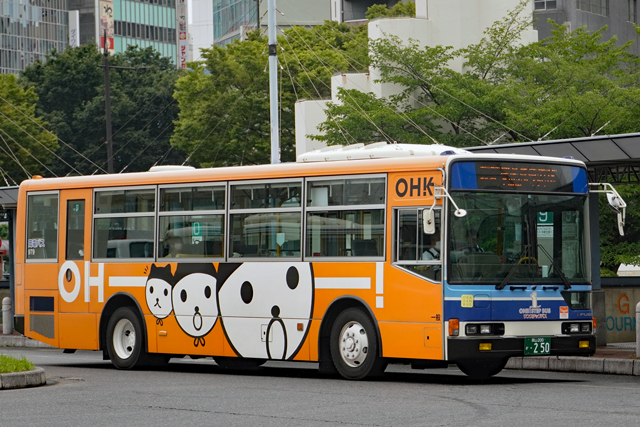 R200 250