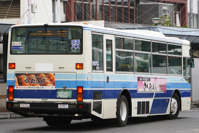 R22 3981