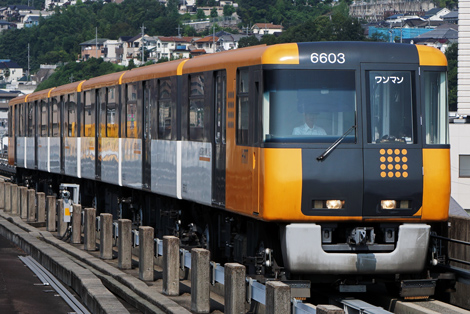 6603