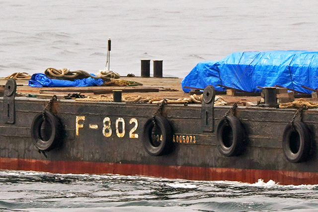 F-802@ꕔ