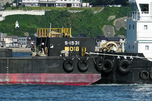 S-1531@ꕔ