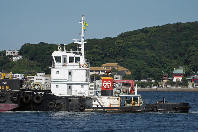 S-1531@