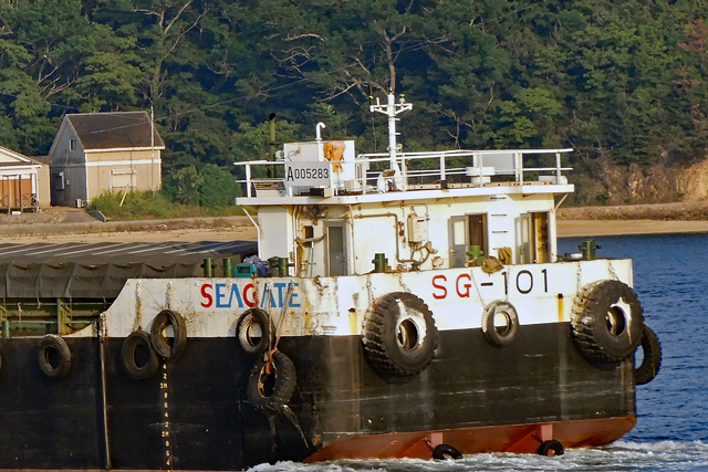 SG-101@ꕔ
