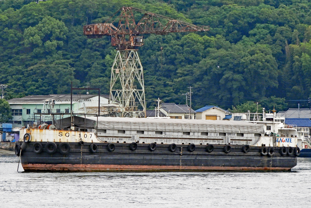 SG-107@O