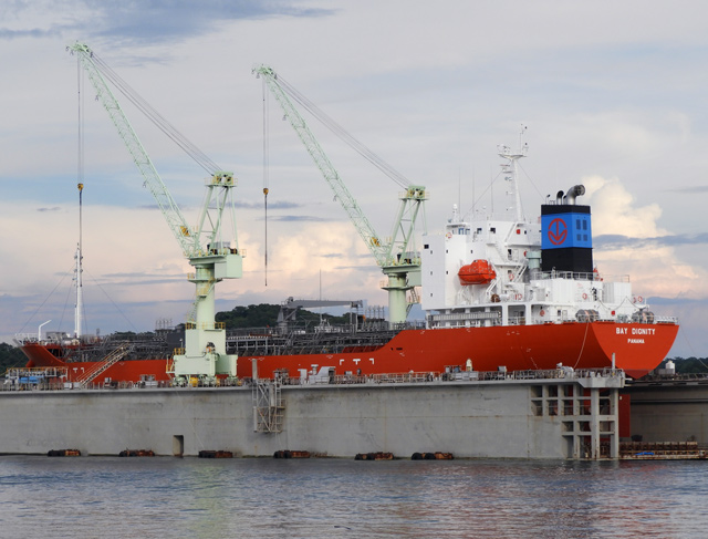 BAY DIGNITY@