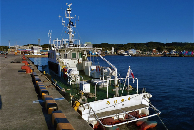 CL152 ‚¤‚¯‚ä‚è@‘D”ö