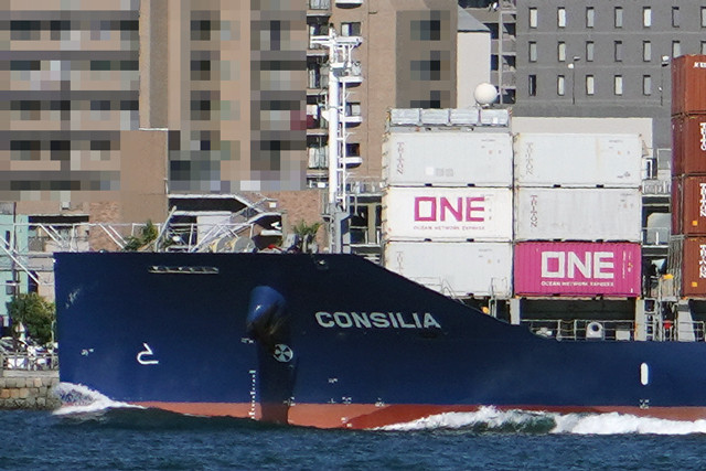 CONSILIA@D