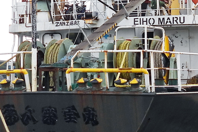 EIHO MARU@ꕔ