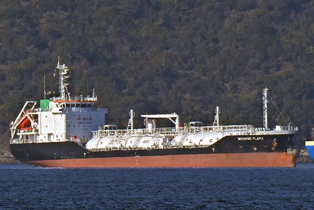 MORNING FLORA�@�E��