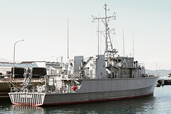 MSC684 �Ȃ����܁@�E����