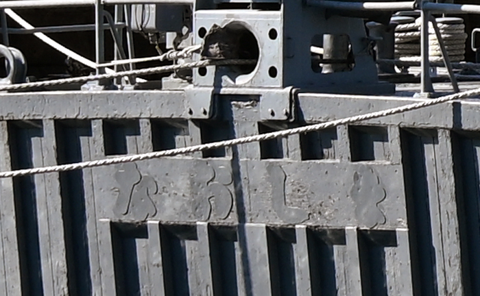 MSC684 �Ȃ����܁@�D��