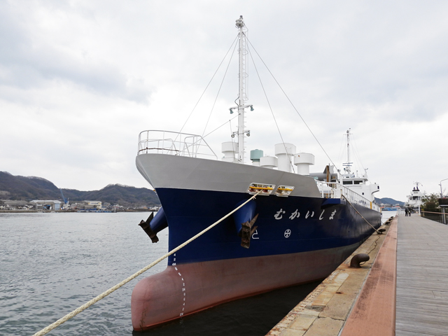 �ނ������܁@�D��