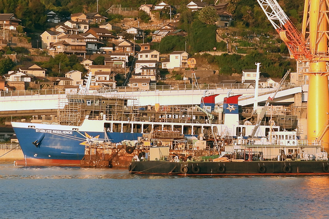 STARLITE RESILIENCE@