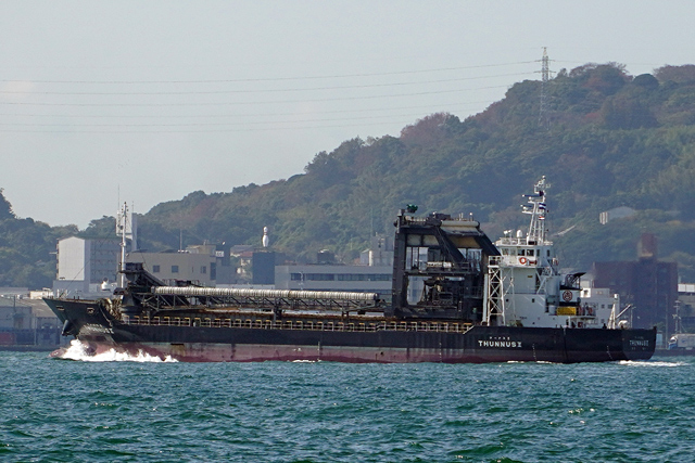 THUNNUSViDj{THUNNUSUio[Wj@