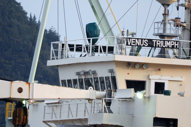 VENUS TRIUMPH@ꕔ