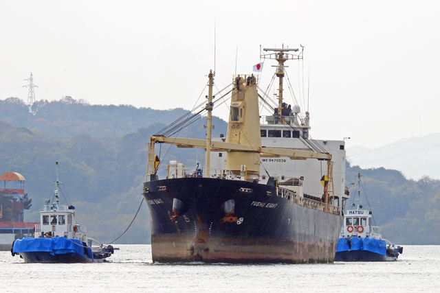 YUSHO EIGHT�@�D��