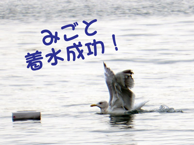C͂ꂢɂQ