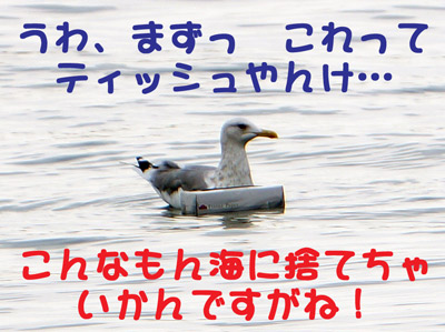 C͂ꂢɂT