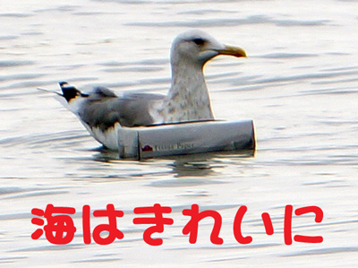 C͂ꂢɂU