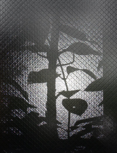 VR̉eG