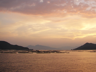 かきいかだと瀬戸の夕焼け