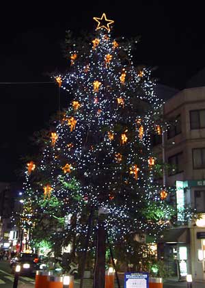 写真　並木通りのクリスマスツリー