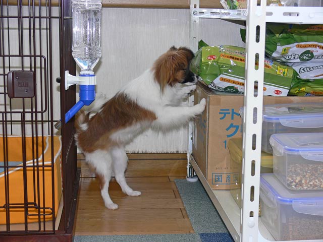 Ȃ