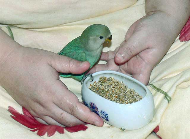 ЂƂŐHׂBȂ