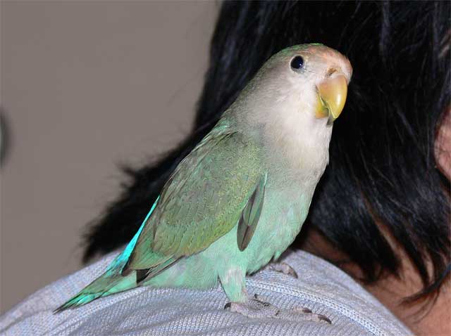 ΂̍ȂȂāAFBl
